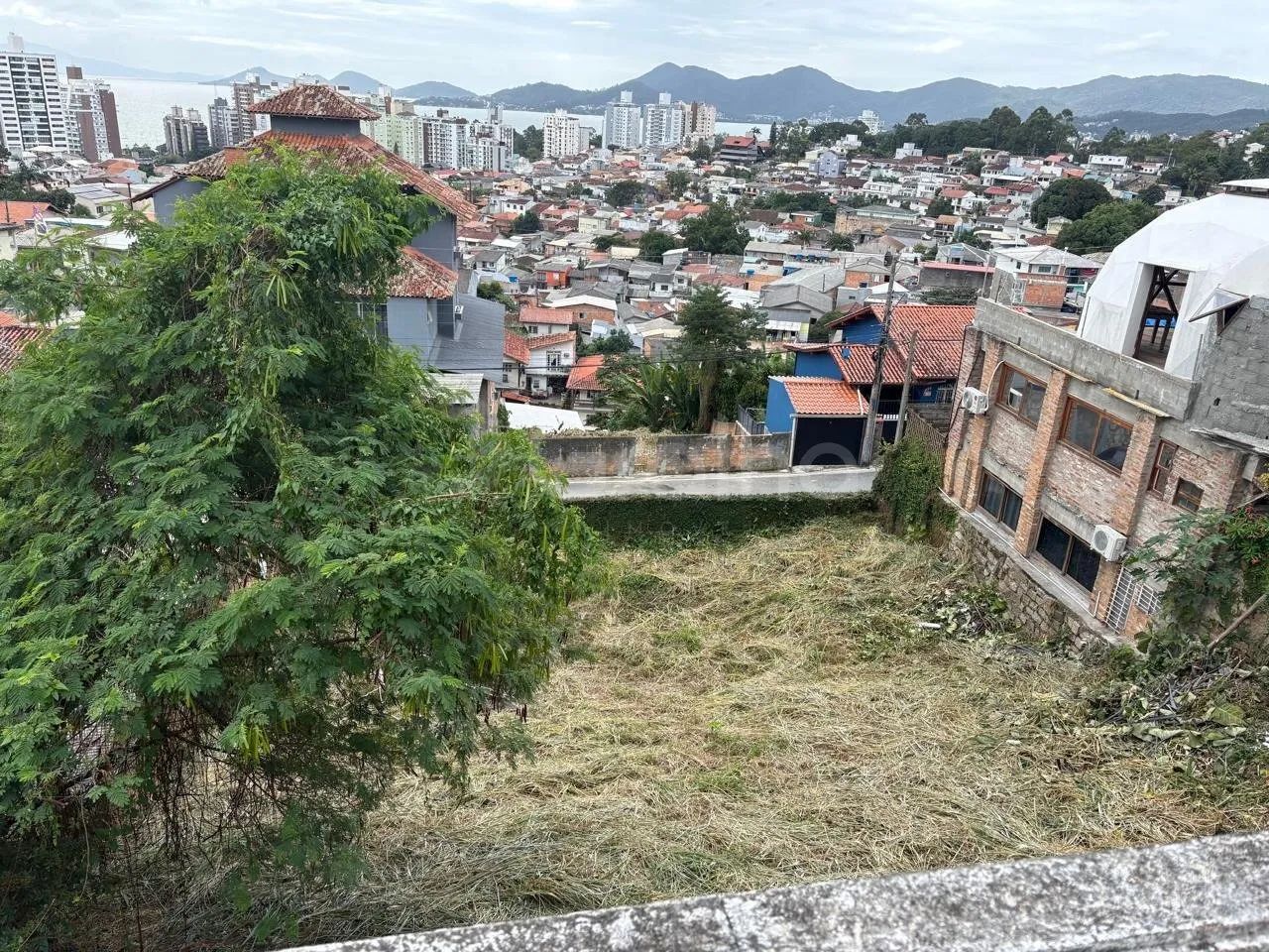 Terreno de 432.07m² no bairro Agronômica