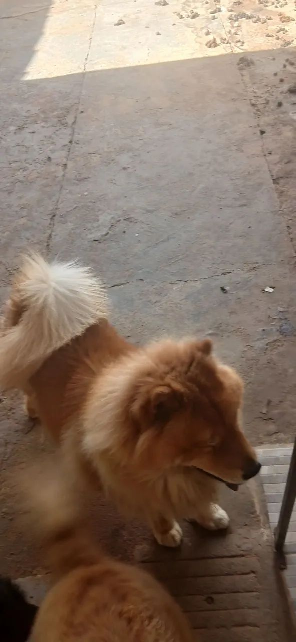 Vendoo pra hj  - Foto 2