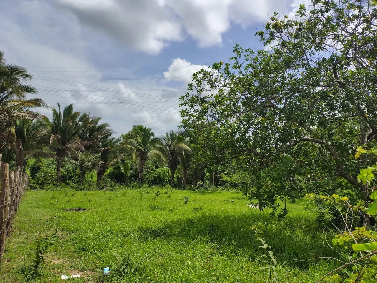 Terreno/Lote em Itapera - Foto 2