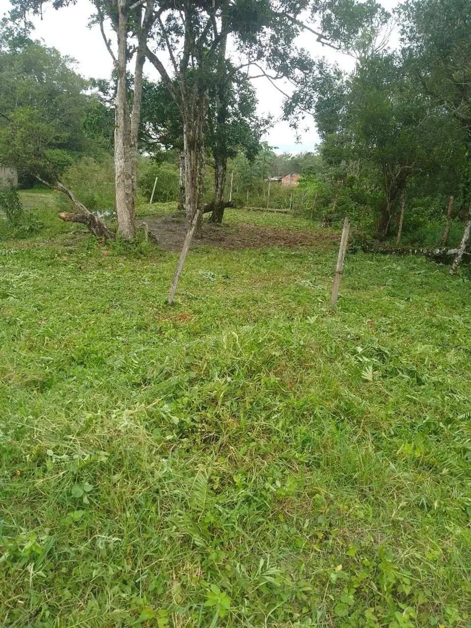 Vende-se terreno escriturado  - Foto 2