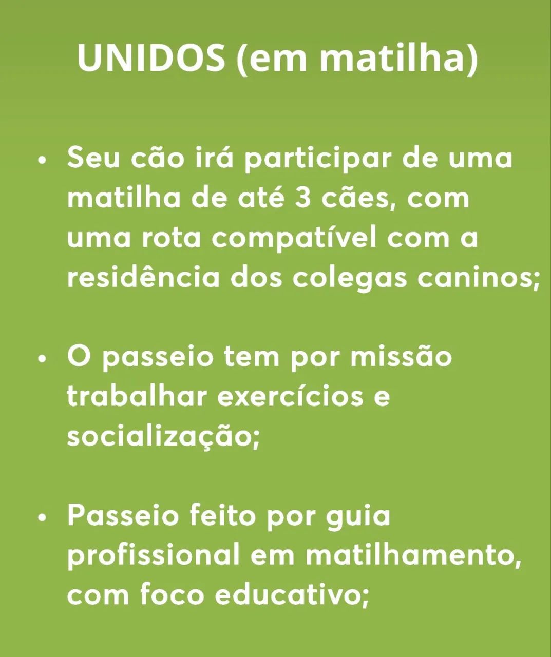 PASSEADOR DE CÃES - Foto 3