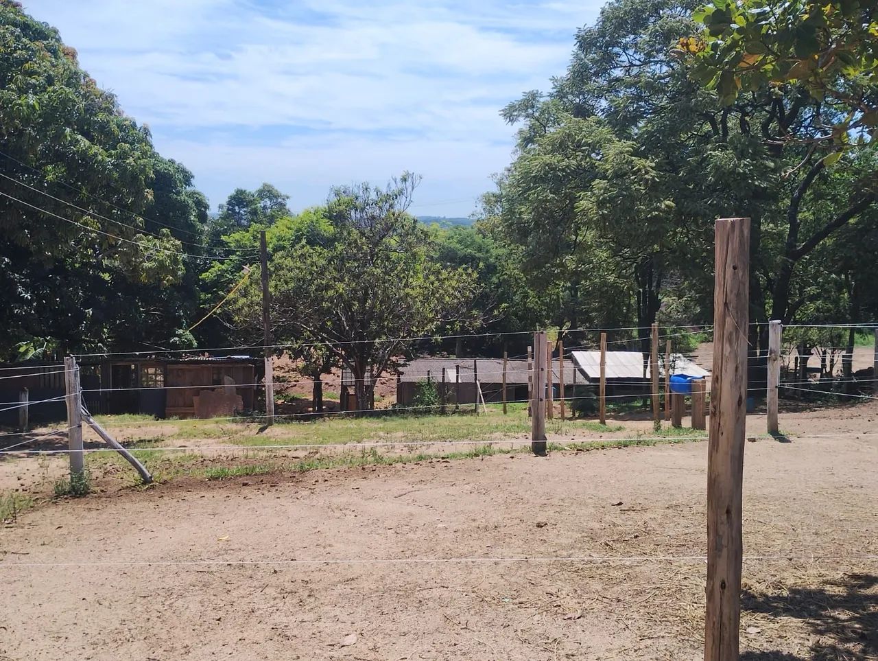 Aluguel baias para cavalos  - Foto 5