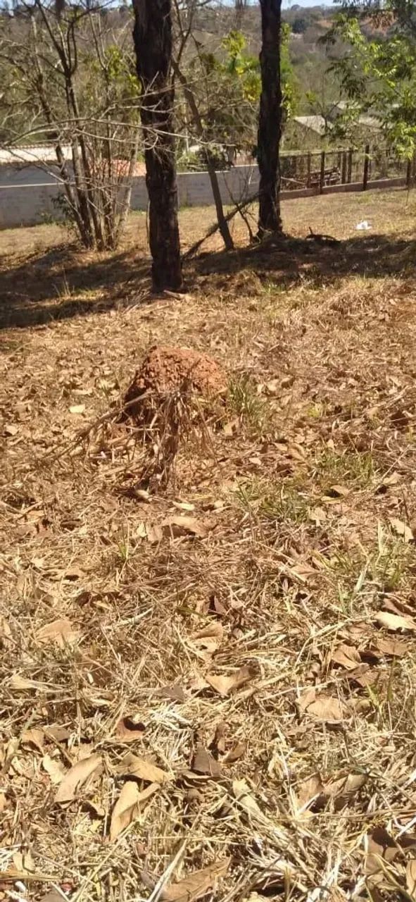 Imóvel para venda tem 1007 metros quadrados em Condominio Represa Ville - Capim Branco - M - Foto 3