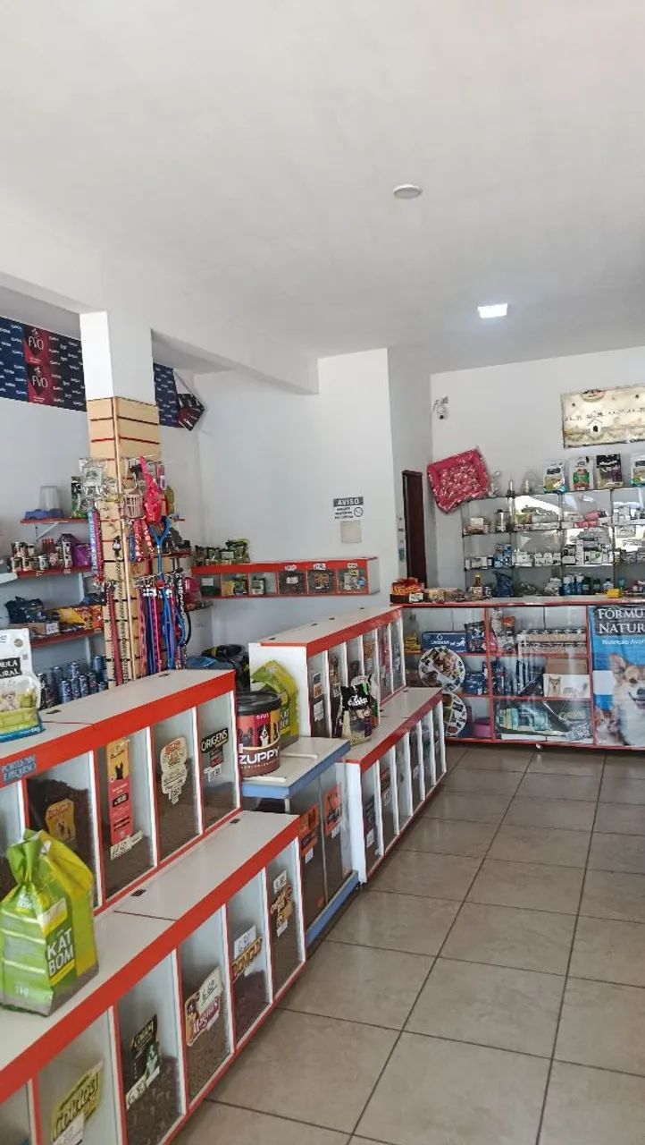 Pet shop a venda  - Foto 2