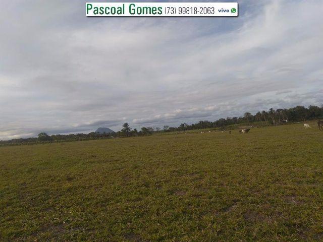 95 % Plana, Prado, Bahia - Foto 11