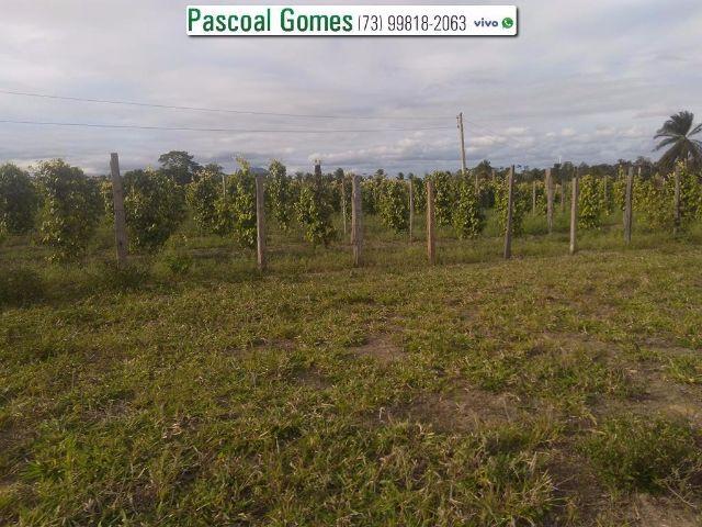 95 % Plana, Prado, Bahia - Foto 14