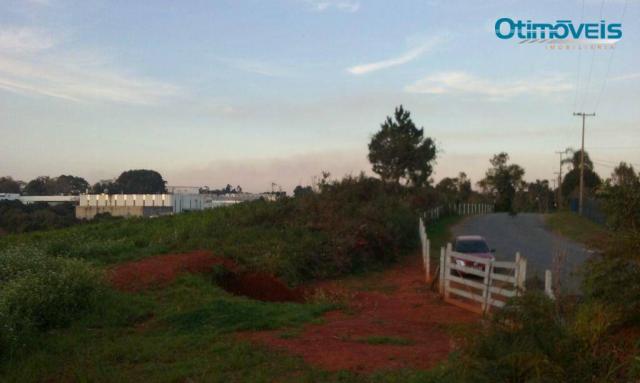 Área à venda, colônia zacarias, são josé dos pinhais - ar0002. - Foto 4