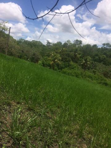Fazenda-Granja-Sítio-Chácara 12 Hectares Aliança, Aceito Imóvel ou Automóvel - Foto 13