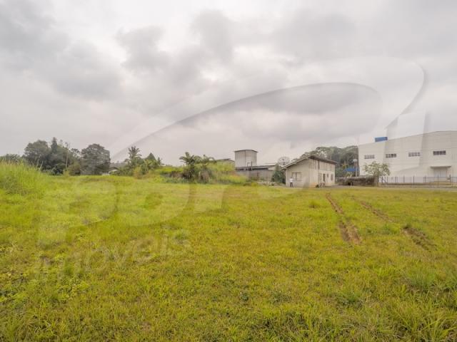 Terreno com aproximadamente 2.500 m², no bairro badenfurt . - Foto 12