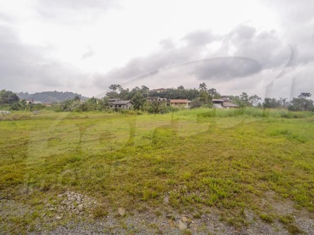 Terreno com aproximadamente 2.500 m², no bairro badenfurt . - Foto 5