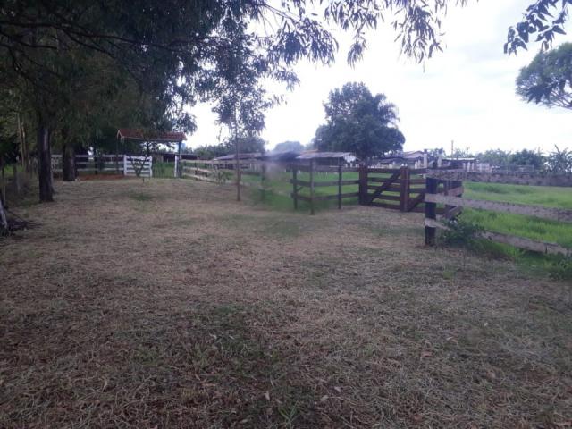 8062 | Chácara à venda em Chácara Marrom, Astorga - Foto 3