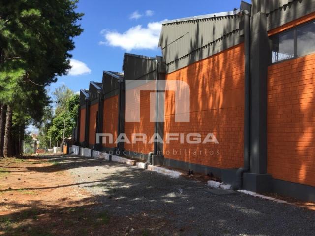 Galpão/depósito/armazém à venda em Vila princesa izabel, Cachoeirinha cod:6215 - Foto 4
