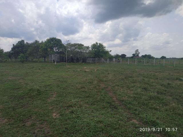 Colônia Quixadá - Foto 3