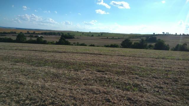 234 Hectares - 97 Alqueires - Planta 52 Alqueires - Palmeira - Foto 16