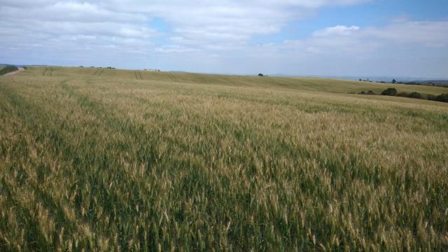 580 Hectares - 240 Alqueires - Fazenda Sede - Lapa
