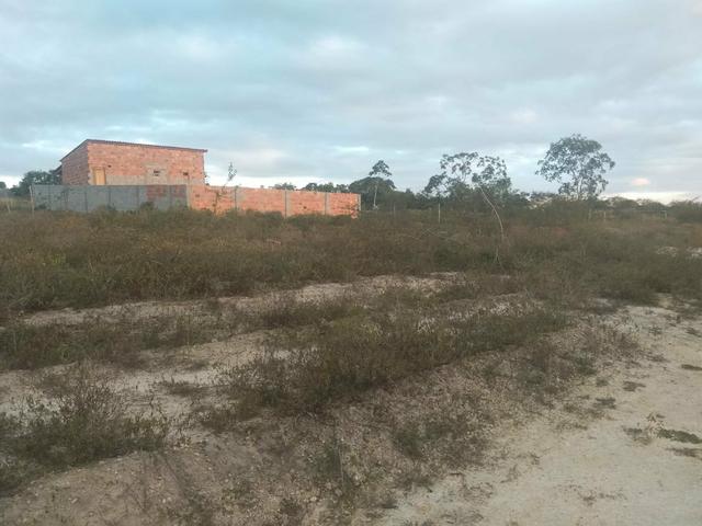 Terreno na Matinha Tam 5x20- Preço imperdível - Foto 3