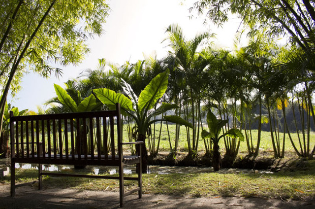 Condomínio Pedra Verde Maricá - Lotes a partir de 965m² cercado de verde ! - Foto 3