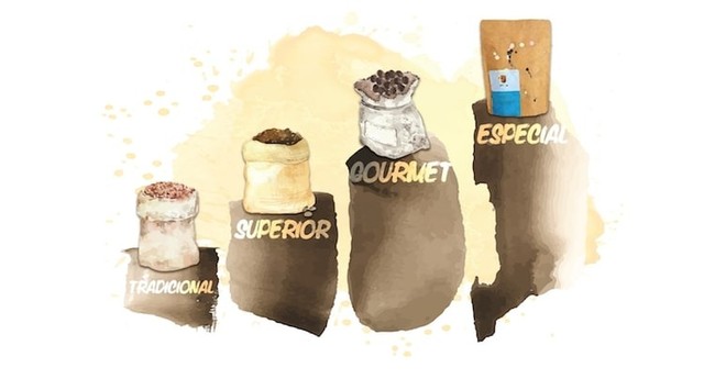 Café Orgânico Grãos Selecionados Diamante Da Chapada 1,5 Kg [3pc De 500g] - Foto 6