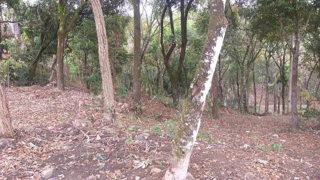 Estrada Saraiva em Betim - Chácara Ótima Localização.- R$390.000,00 - Foto 5