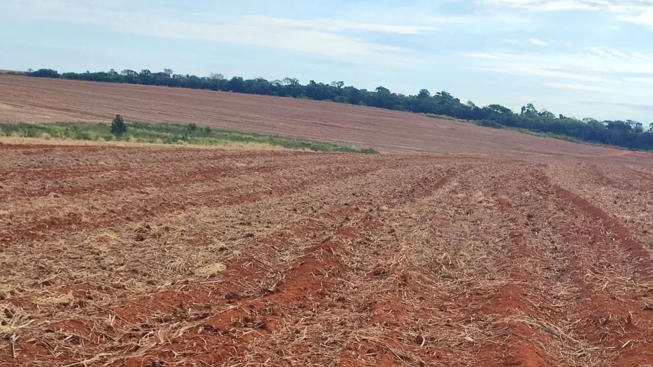 Fazenda 497alqueiro - Foto 2