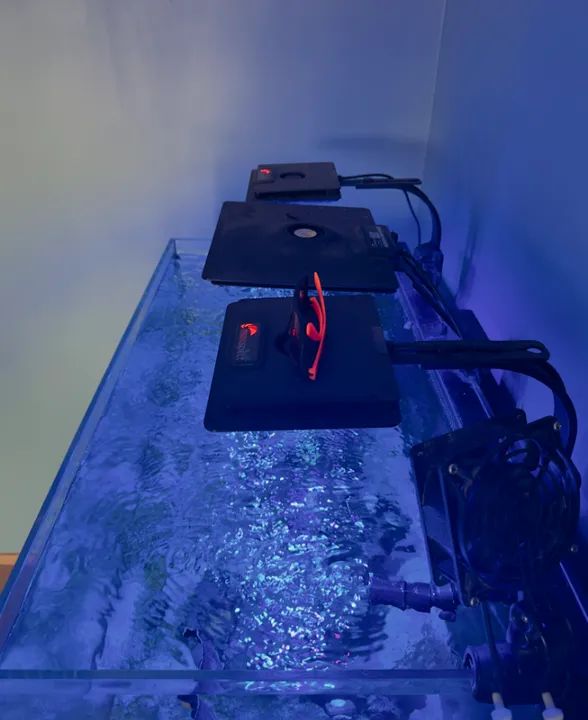 AQUARIO MARINHO COMLETO - Foto 4