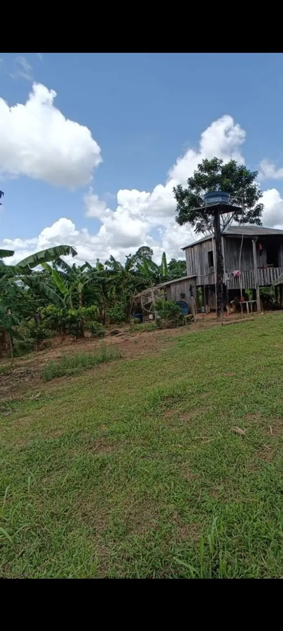 Vendo essa colônia