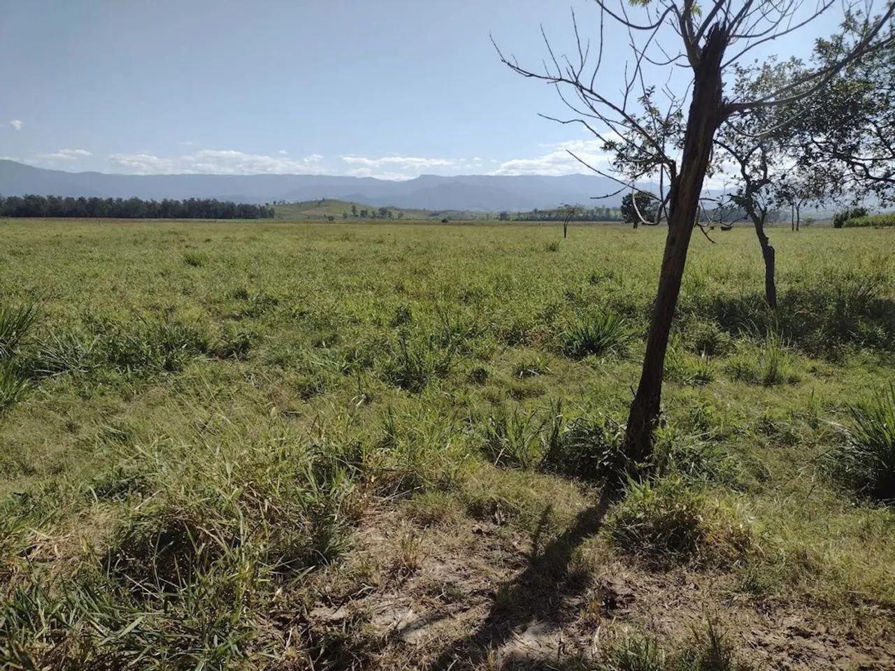 Fazenda de 100 Hectares com irrigação de pivô e casa sede em Pedregulho, Guaratinguetá - S - Foto 3