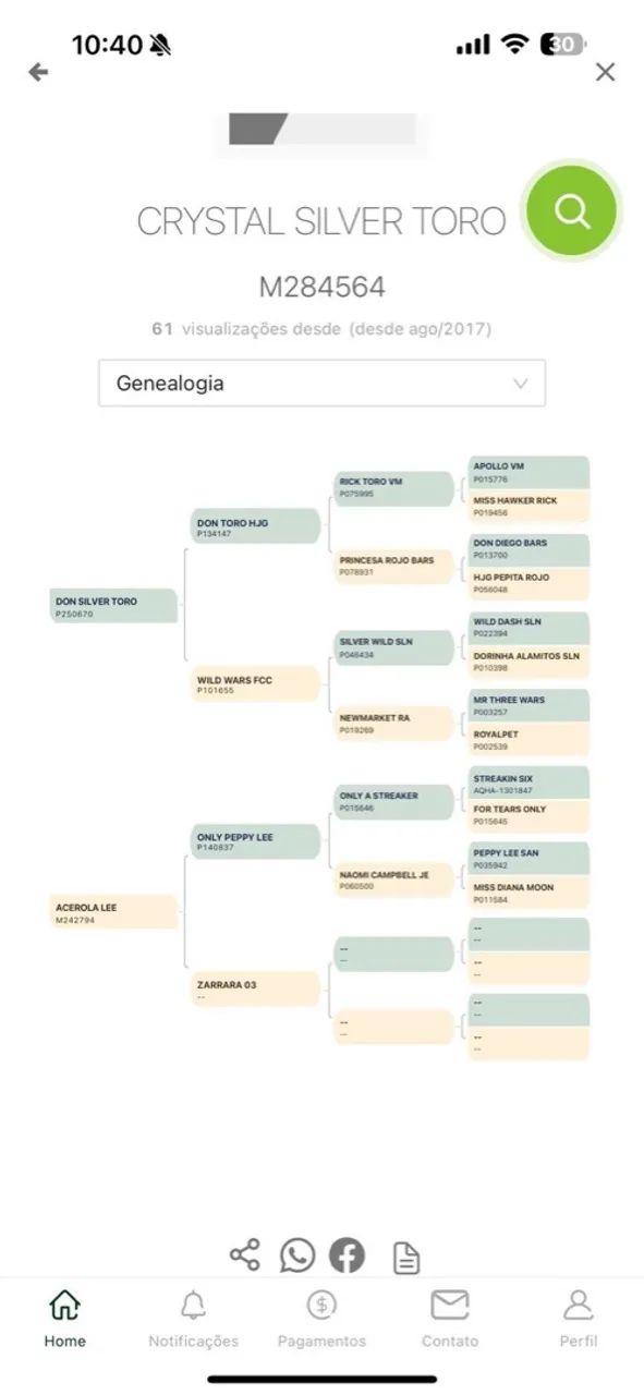 Oportunidade Única para Criadores e Competidores de Vaquejada  - Foto 4