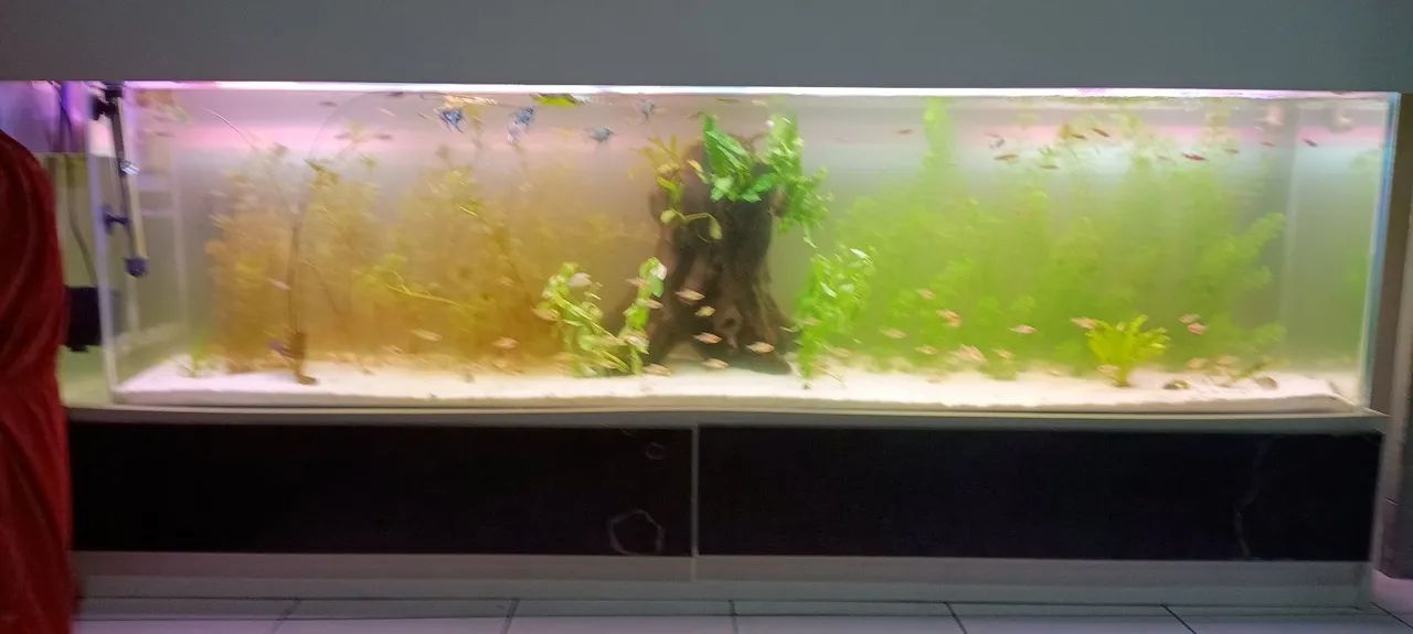 Aquário completo 180cm - Foto 2