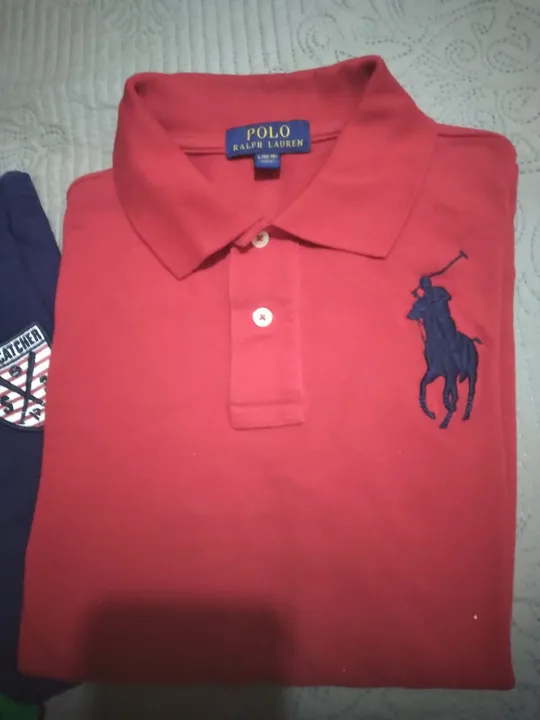Camisas Polo tamanho 14
