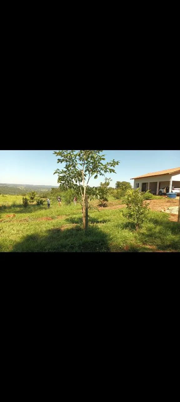 Chácara em Bonfinópolis  - Foto 6