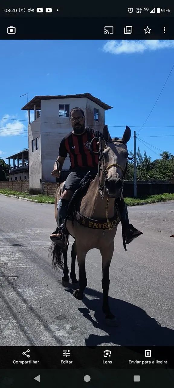 Vendo égua linda, muito dócil