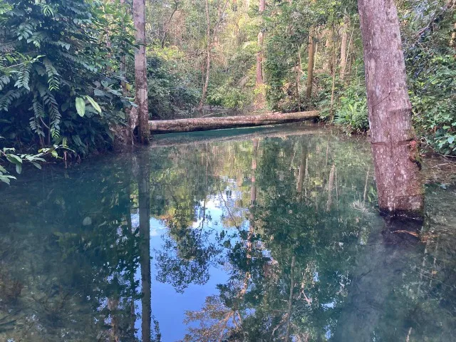 Chácaras a venda, km 21 (Gleba Garças)