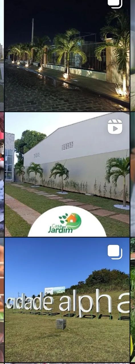 Grama Esmeralda PROMOÇÃO  - Foto 3