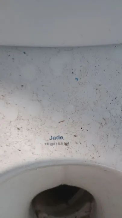 Vaso sanitário/ Caixa Acoplada - Foto 2