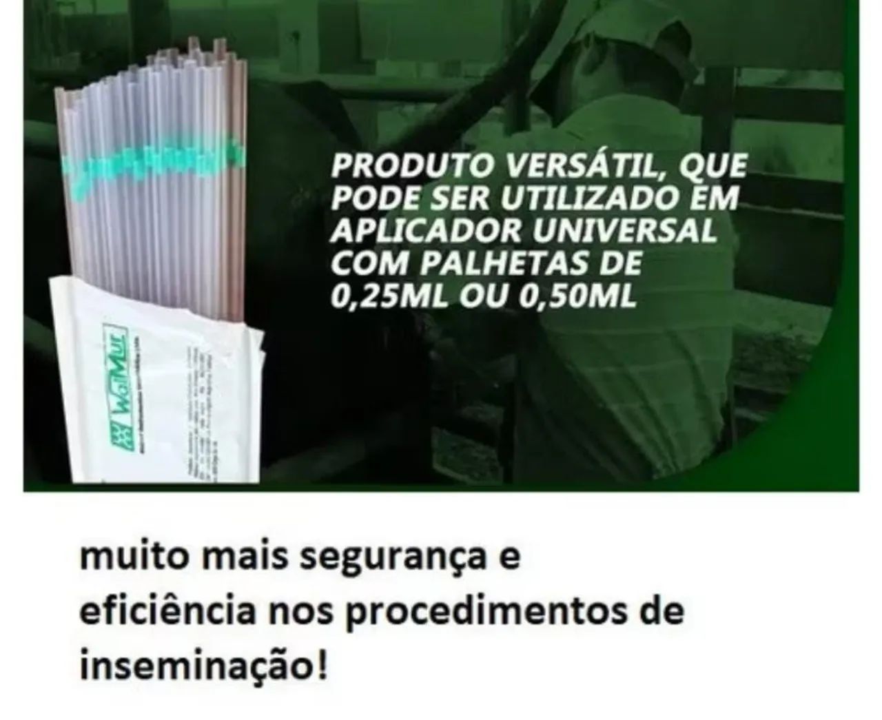 Pioetas para Inseminação artificial canina  - Foto 2