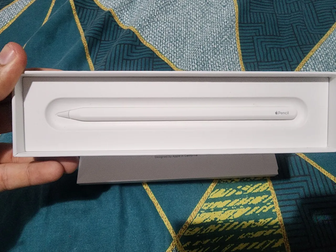 Apple Pencil 2ª geração