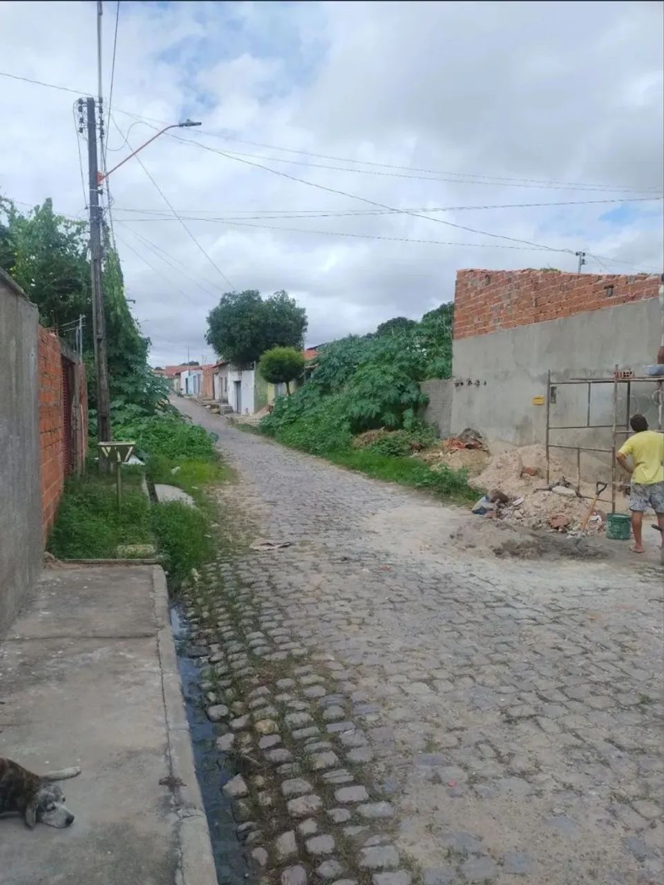 Foto - Teresina - Samapi