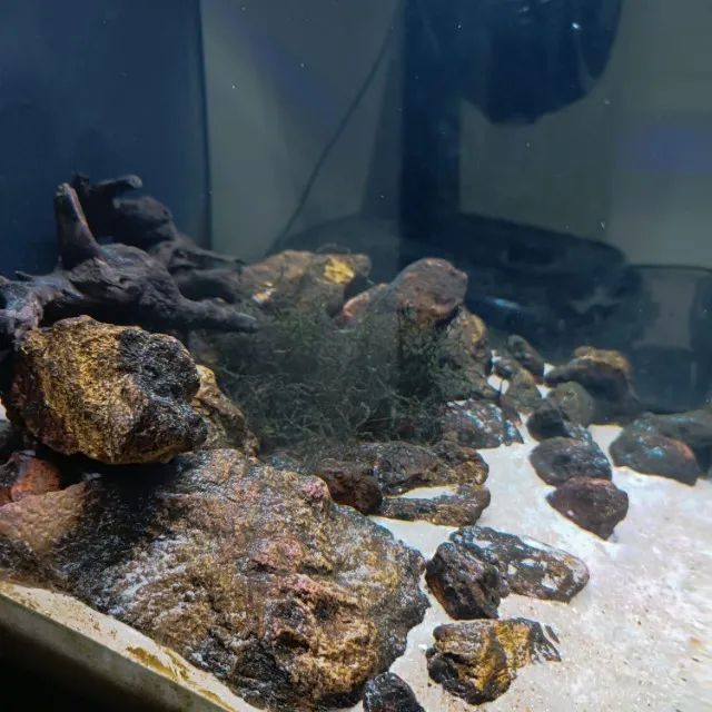 Aquário Completo JAD Boyu Mt 50 80 Litros Marinho Ou Doce - Foto 4