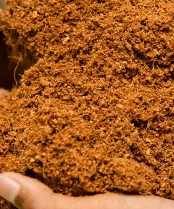 Fibra de coco natural (orgânico e artesanal) - Foto 2