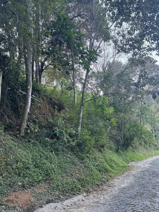 Maravilhoso terreno Pedra do Imperador - Foto 3