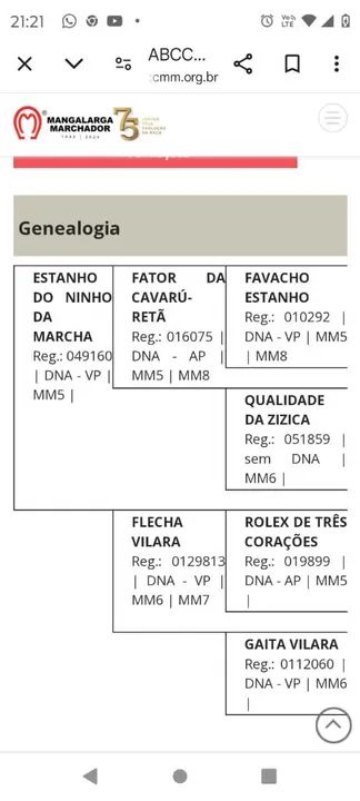 POTRA PRETA REGISTRADA  - Foto 3