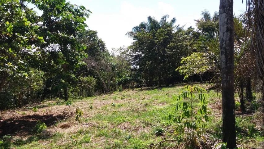 Foto - Manaus - Da Paz