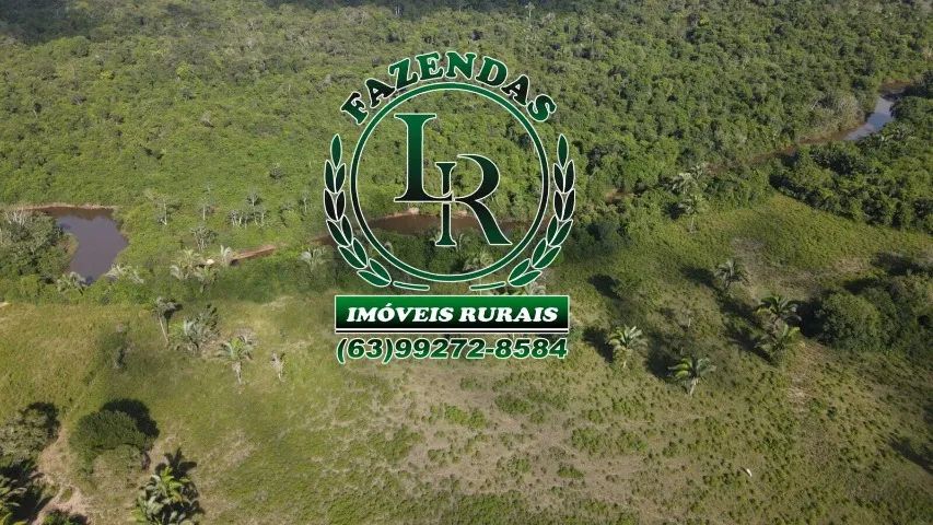 Fazenda 39 Alqueires Tocantins Região Araguaina - Foto 3