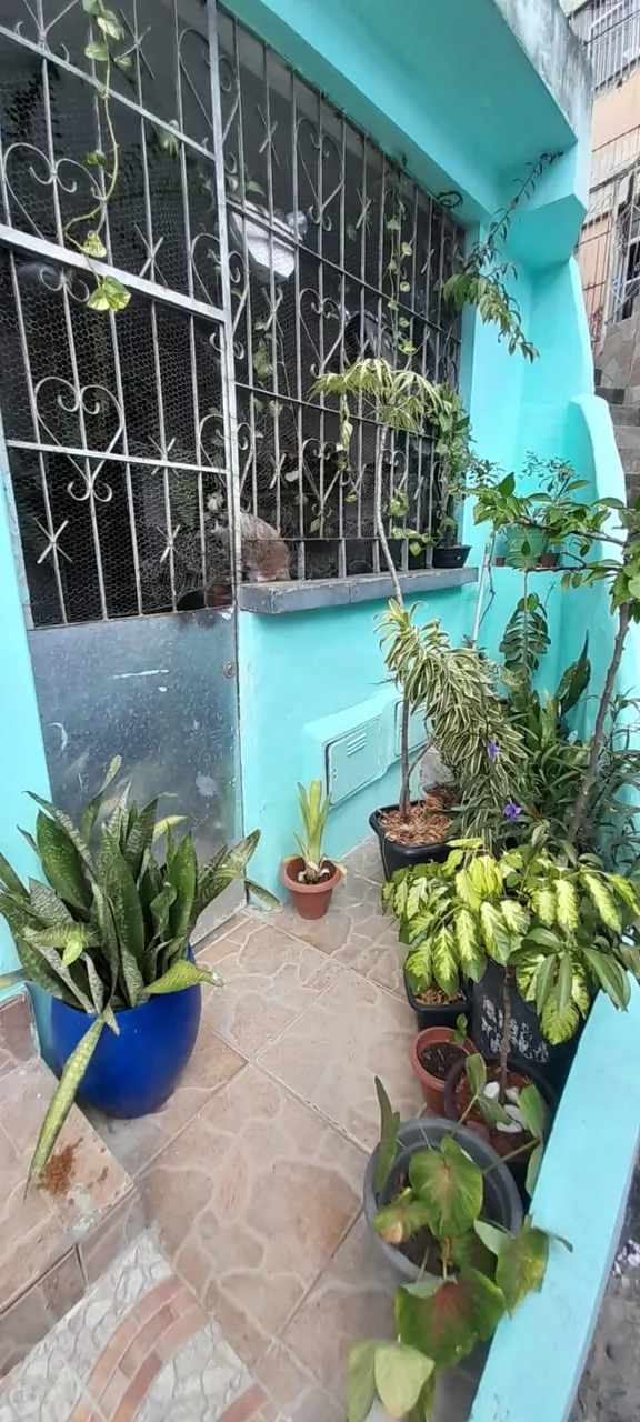 Vende-se uma casa em Nazaré 135.000