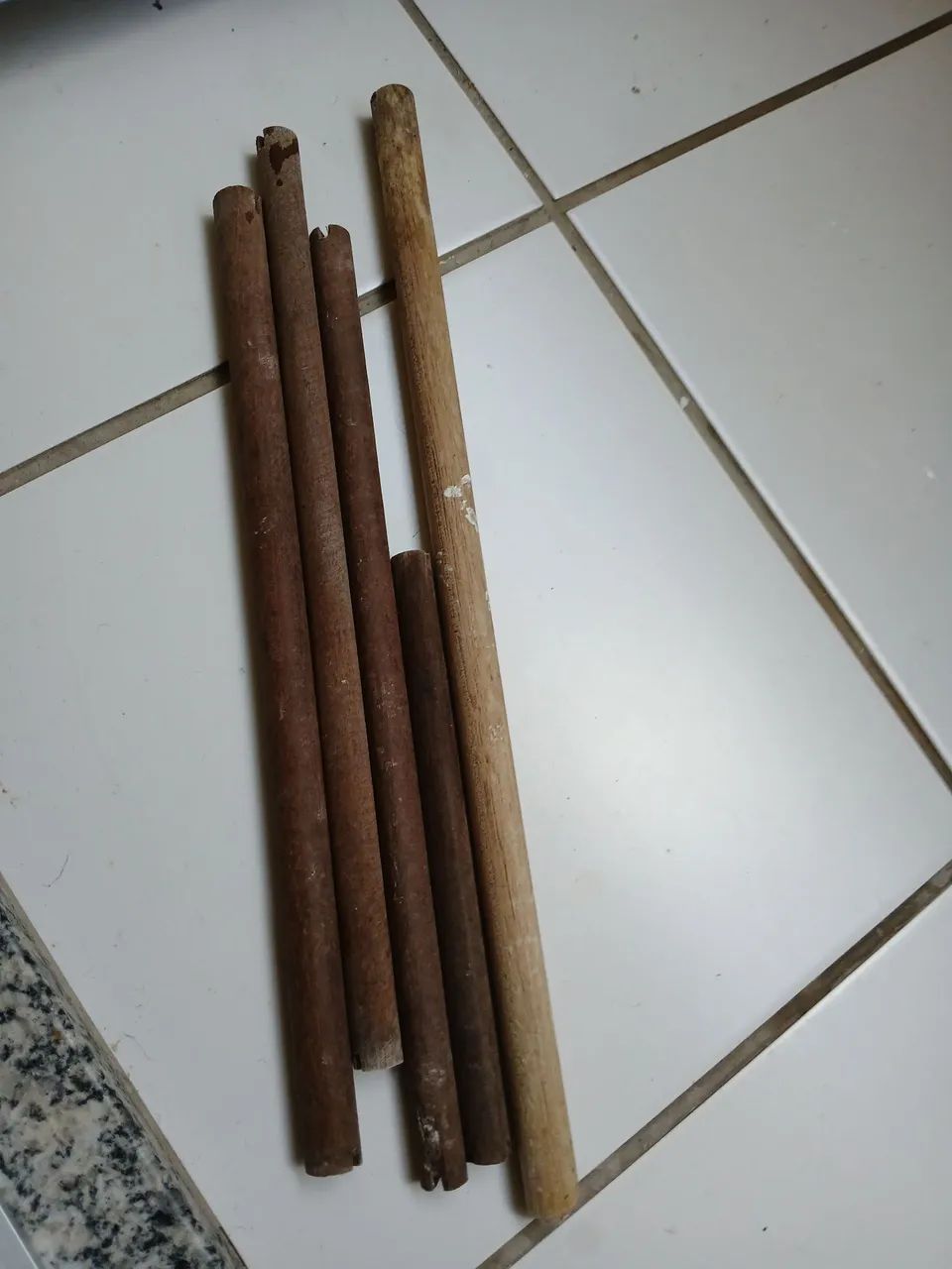 Gaiola para Pássaros - Foto 3