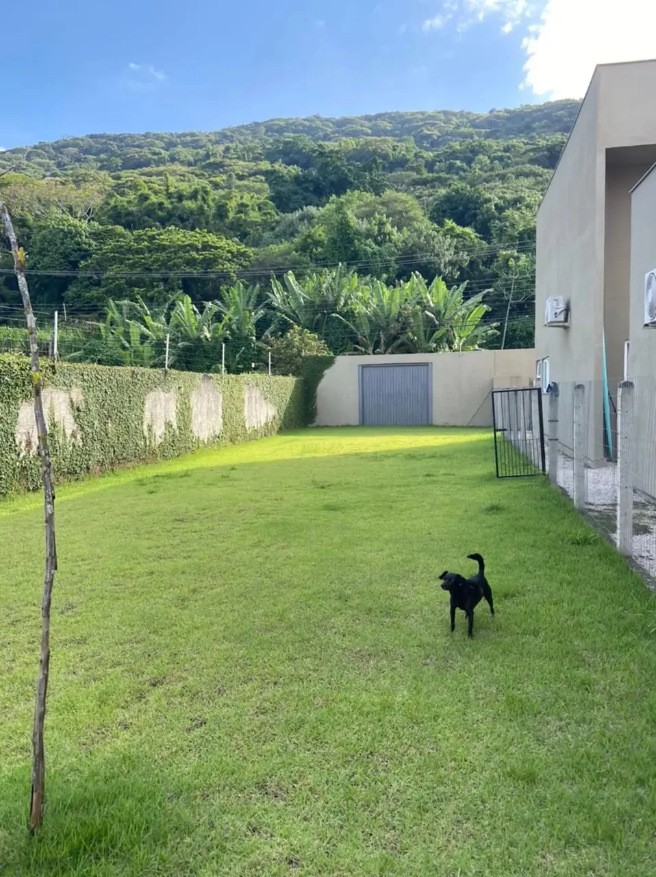 Terreno com escritura com 302 metros quadrados em Lagoa da Conceição - Florianópolis - SC