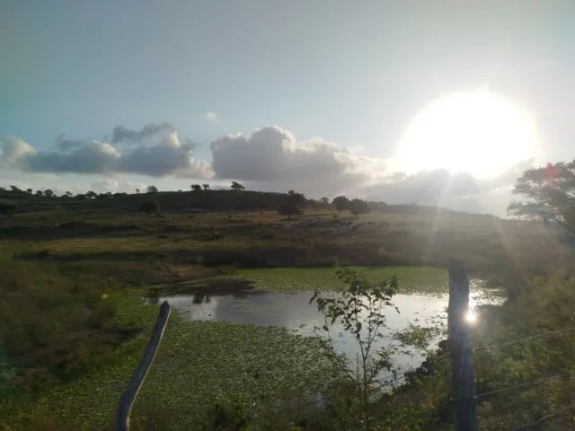 Fazenda em Altinho/PE à Venda (FA0197-DV) - Foto 4