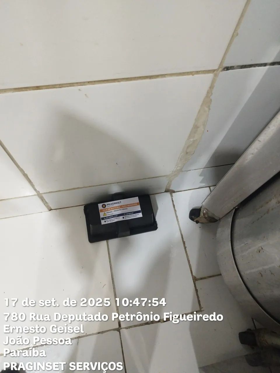 Detetização... - Foto 4