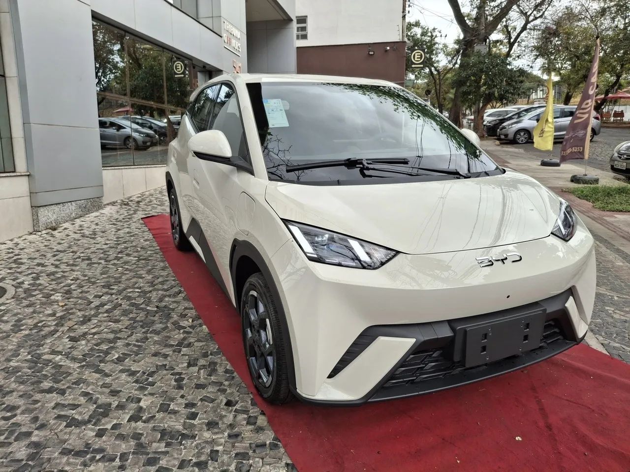 BYD Dolphin Mini (Elétrico) 2027 - Foto 3